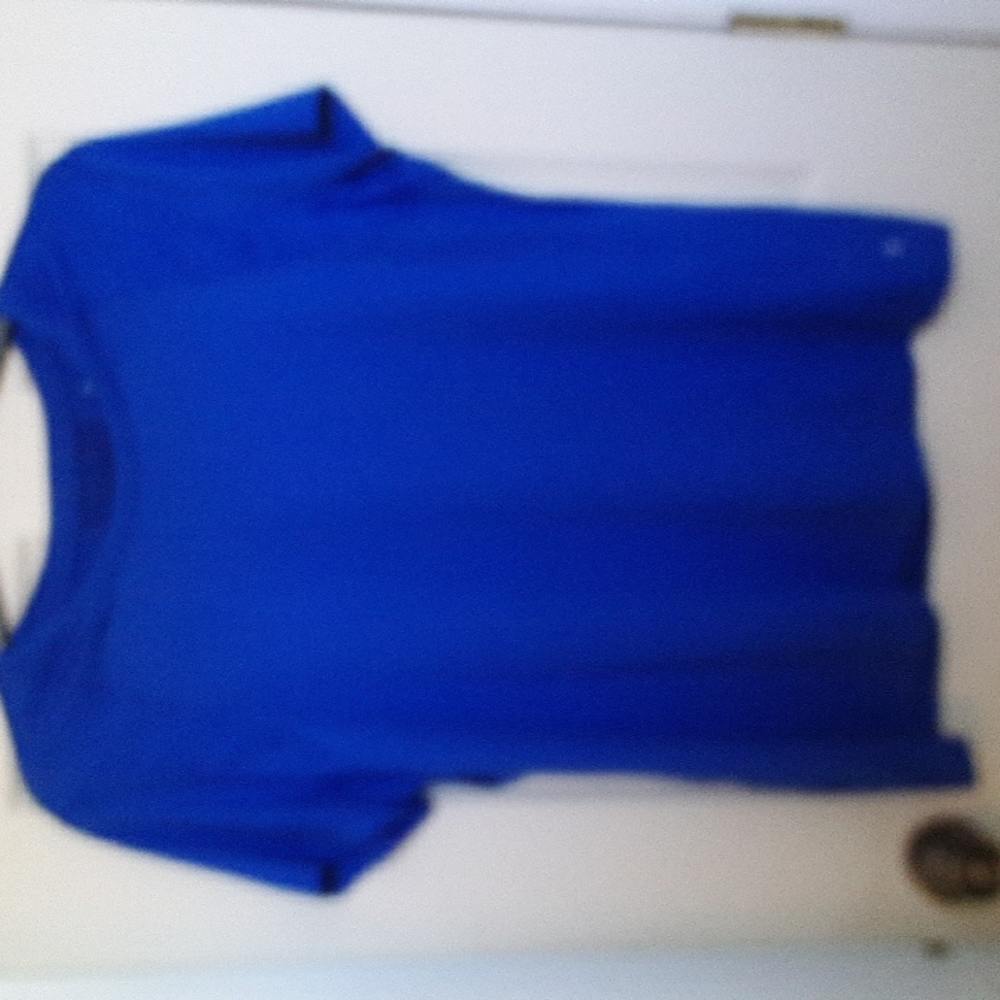 Royal blue Danskin tee top size 2x